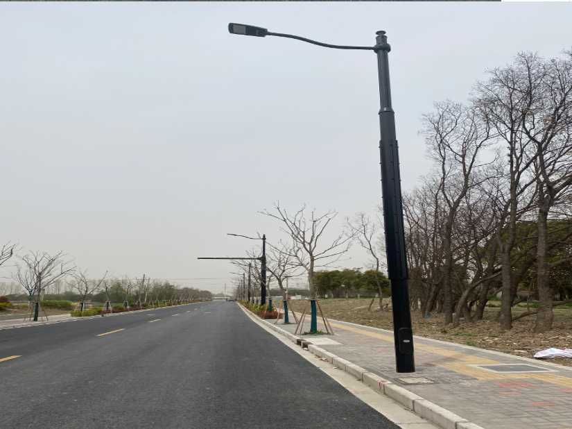 江孜县上海综合杆 太阳能路灯工程